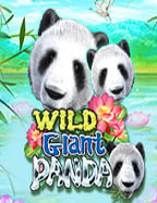 สนุกไปกับ cafe slot วิธีเล่นให้ได้ใจ